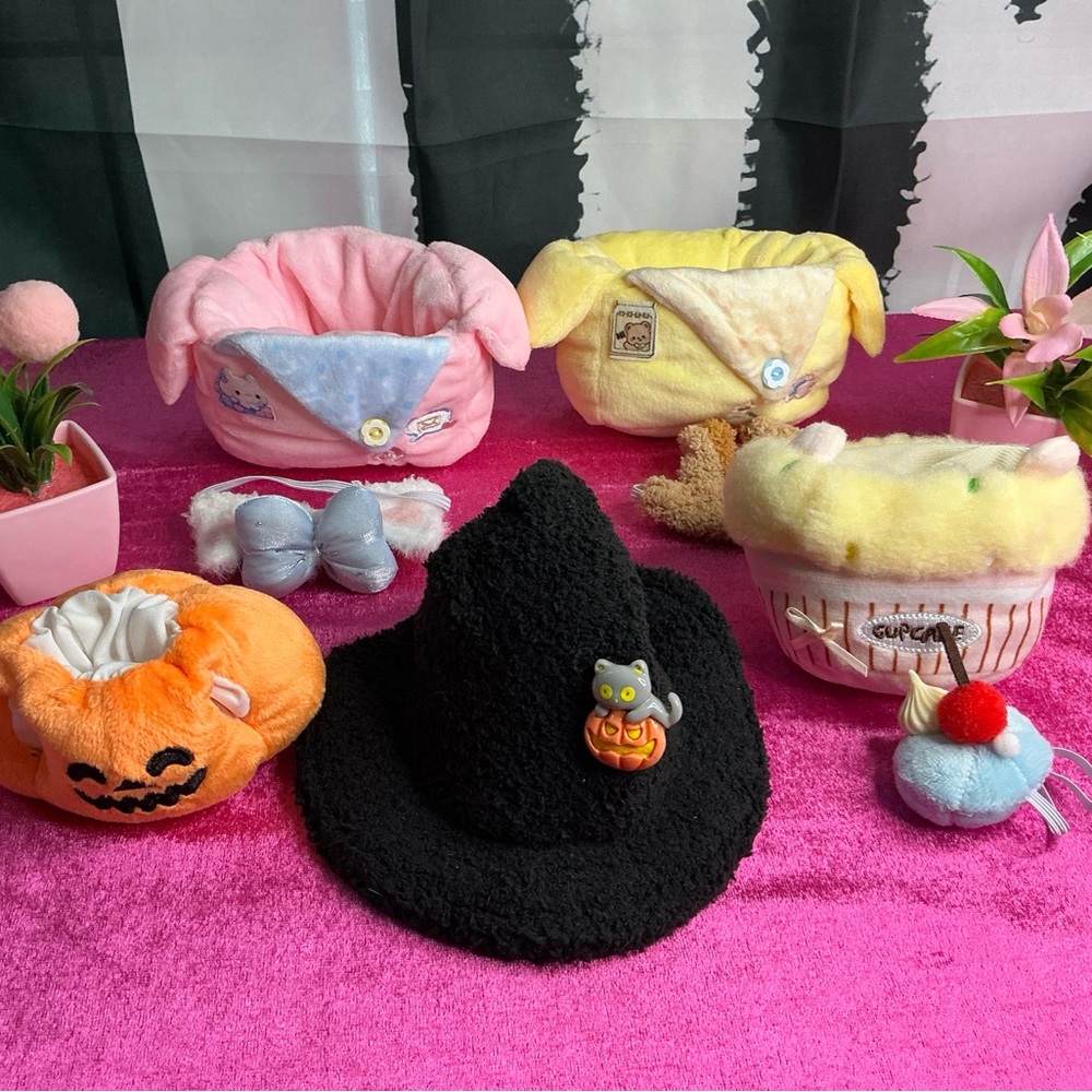Colorful Pet Bed and Accessories Collection lot of 4